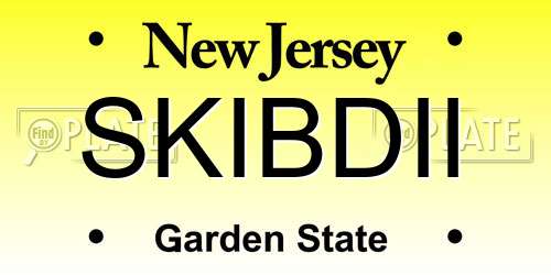 SKIBDII New Jersey License Plate