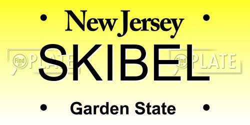 SKIBEL New Jersey License Plate