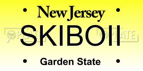 SKIBOII New Jersey License Plate