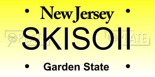 SKISOII New Jersey License Plate