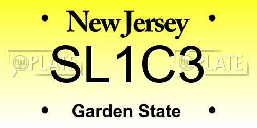 SL1C3 New Jersey License Plate