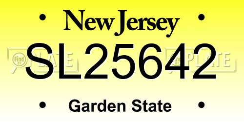 SL25642 New Jersey License Plate