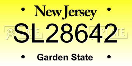 SL28642 New Jersey License Plate