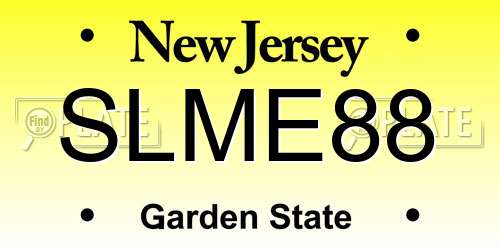 SLME88 New Jersey License Plate