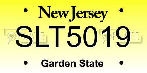 SLT5019 New Jersey License Plate