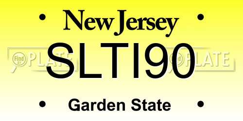 SLTI90 New Jersey License Plate