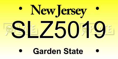 SLZ5019 New Jersey License Plate