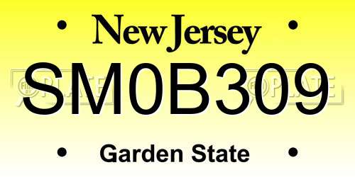 SM0B309 New Jersey License Plate