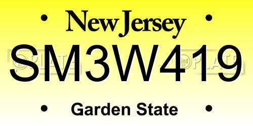 SM3W419 New Jersey License Plate