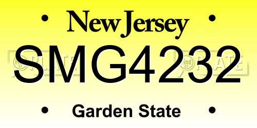 SMG4232 New Jersey License Plate