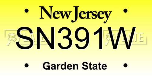 SN391W New Jersey License Plate