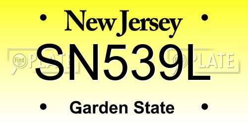 SN539L New Jersey License Plate
