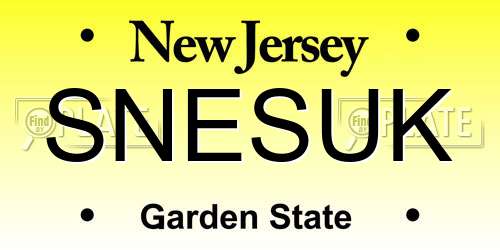 SNESUK New Jersey License Plate