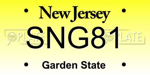 SNG81 New Jersey License Plate