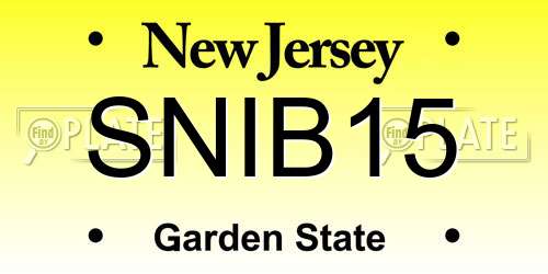 SNIB15 New Jersey License Plate