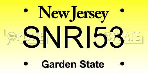 SNRI53 New Jersey License Plate