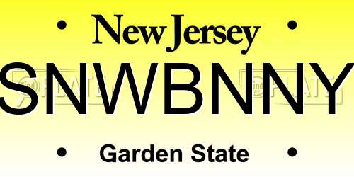 SNWBNNY New Jersey License Plate