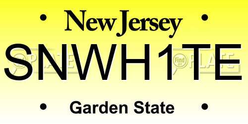 SNWH1TE New Jersey License Plate