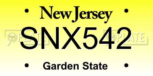 SNX542 New Jersey License Plate