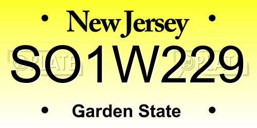 SO1W229 New Jersey License Plate
