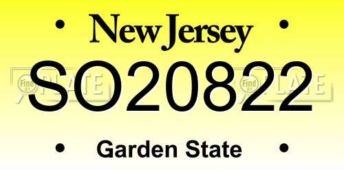 SO20822 New Jersey License Plate