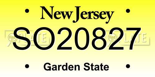 SO20827 New Jersey License Plate