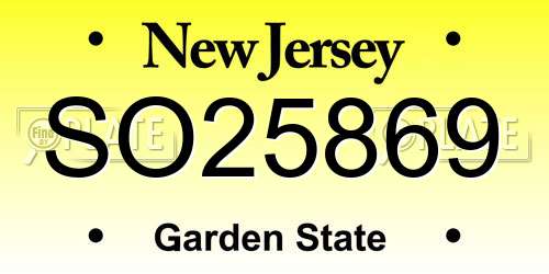 SO25869 New Jersey License Plate