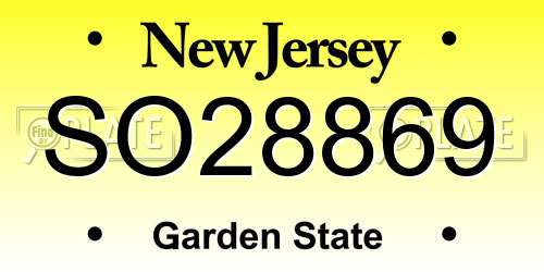 SO28869 New Jersey License Plate