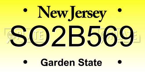 SO2B569 New Jersey License Plate