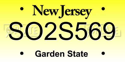 SO2S569 New Jersey License Plate
