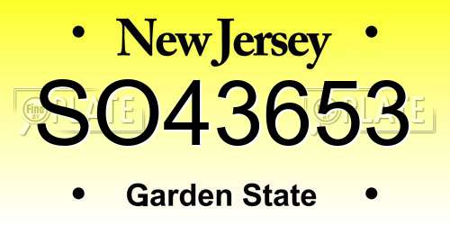 SO43653 New Jersey License Plate