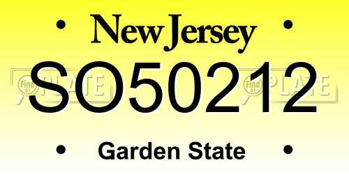 SO50212 New Jersey License Plate