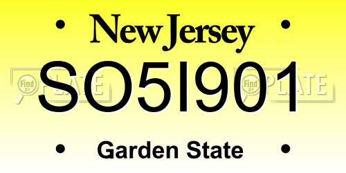 SO5I901 New Jersey License Plate