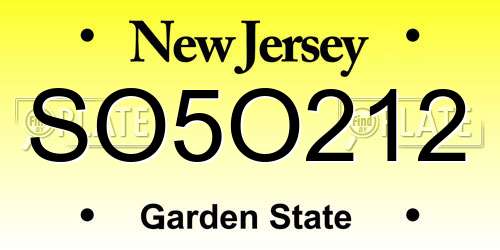 SO5O212 New Jersey License Plate
