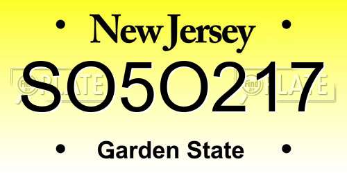 SO5O217 New Jersey License Plate