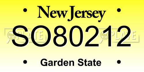 SO80212 New Jersey License Plate