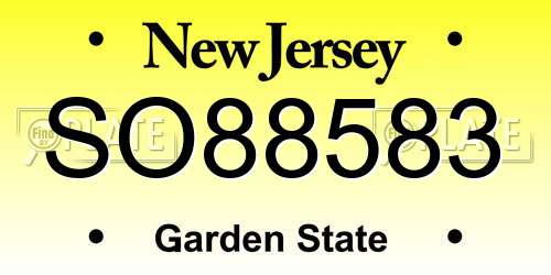 SO88583 New Jersey License Plate