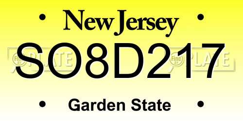 SO8D217 New Jersey License Plate
