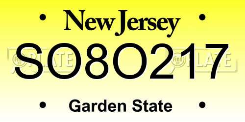 SO8O217 New Jersey License Plate