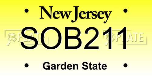 SOB211 New Jersey License Plate