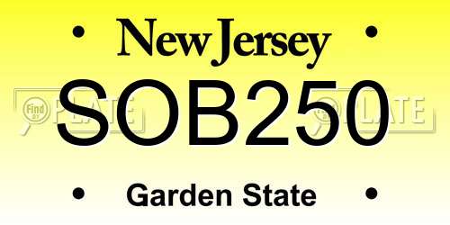 SOB250 New Jersey License Plate