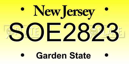 SOE2823 New Jersey License Plate