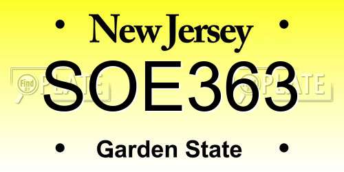 SOE363 New Jersey License Plate