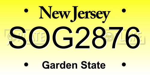 SOG2876 New Jersey License Plate