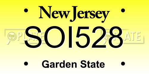 SOI528 New Jersey License Plate