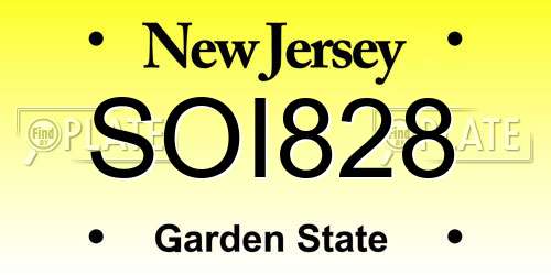 SOI828 New Jersey License Plate