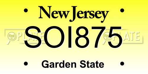SOI875 New Jersey License Plate