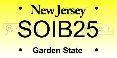 SOIB25 New Jersey License Plate