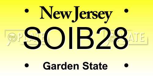 SOIB28 New Jersey License Plate
