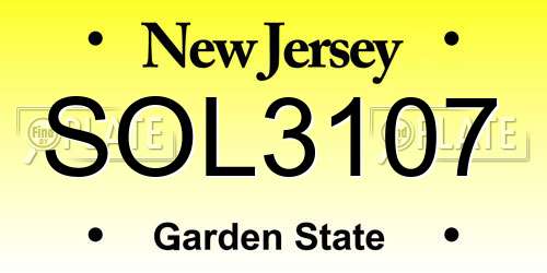 SOL3107 New Jersey License Plate